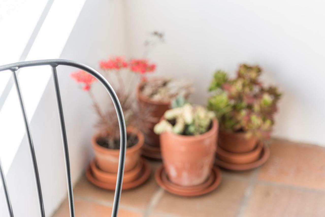 Ferienwohnung Guestready - Cactus Balcony - Free Private Parking Porto Exterior foto